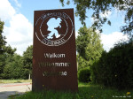 Overdinkel